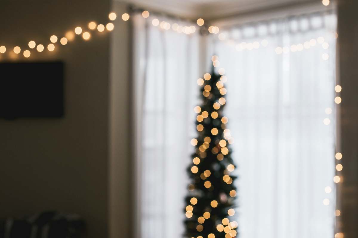 christmas wallpapers green Christmas tree with string lights turned on curtain